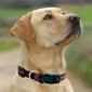 NFL Chicago Bears Dog Collar - image 4