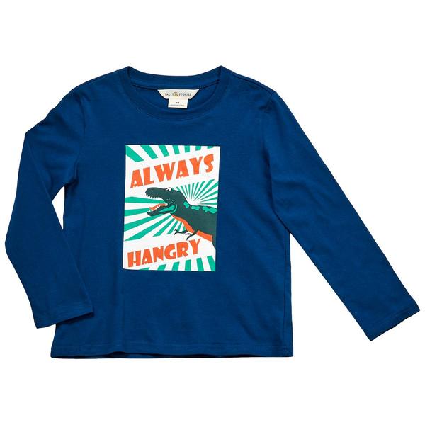 Toddler Boy Tales & Stories Long Sleeve Dinosaur Graphic Tee - image 