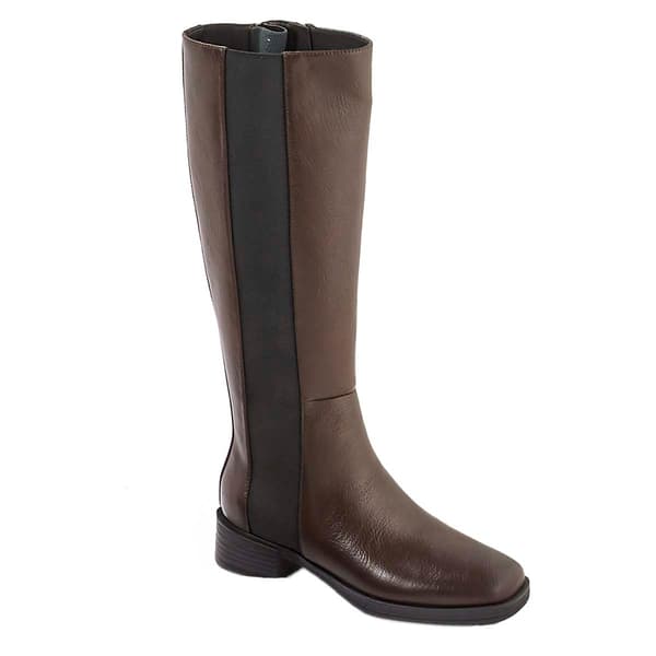 Womens Aerosoles Daria Tall Boots