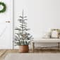 Northlight Seasonal 4.5ft. Nordmann Fir Artificial Christmas Tree - image 4