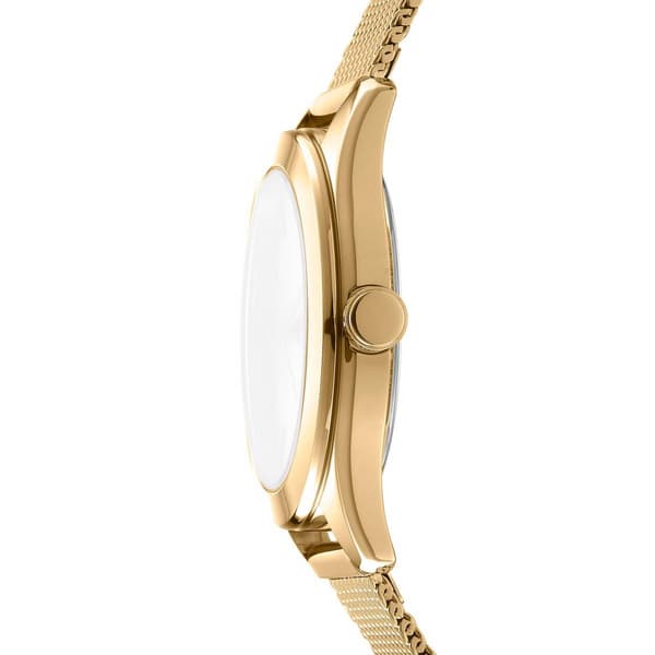 Womens DKNY Astoria Logo Champagne Dial Watch - DK1L032M0025