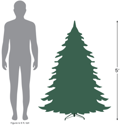 Northlight 5ft. Winona Fir Artificial Wall Christmas Tree