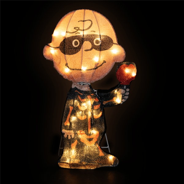 Northlight LED Charlie Brown Bones Halloween Yard Decoration