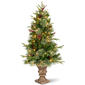 National Tree 4ft. Colonial Entrance Tree with Clear Lights - image 1