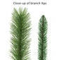 Puleo International 50ft. Spruce Christmas Garland - image 5