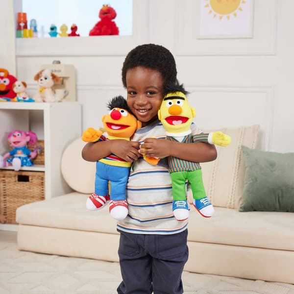 Sesame Street® 14in. Bert Plush