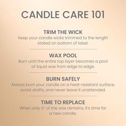 Yankee Candle® 4.3oz. Vanilla Creme Brulee Small Tumbler Candle