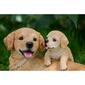 Hi-Line Gift Mother & Baby Golden Retriever Garden Statue - image 5