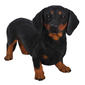 Hi-Line Gift Standing Dachshund Garden Statue - image 1