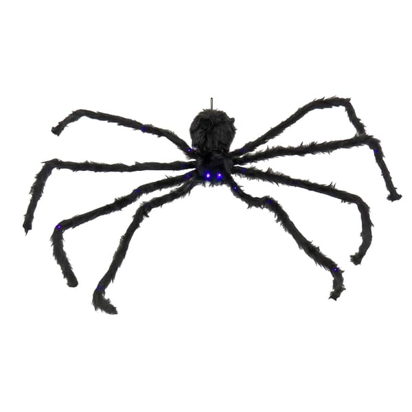 National Tree 50in. Halloween Black Spider LED Lights
