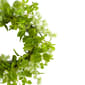 Northlight Seasonal Artificial Jujube Floral &amp; Foliage Wreath - image 3
