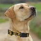 NFL Green Bay Packers Dog Collar - image 4