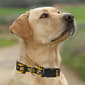 NFL Green Bay Packers Dog Collar - image 4