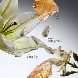 Philosophy Pure Grace Luminous Body Oil