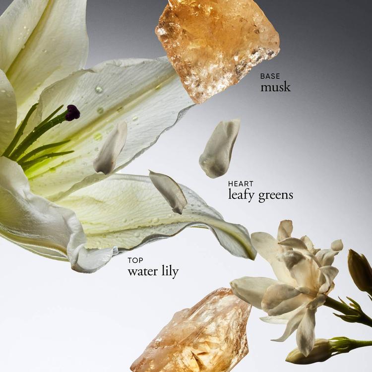 Philosophy Pure Grace Luminous Body Oil