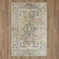 Mohawk Home Loki Anthracite Large Area Rug - image 1