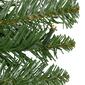 Northlight Seasonal LED Pre-Lit Pine Artificial Christmas Wreath - image 3