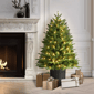 Puleo International Warm White LED Fraser Fir Christmas Tree - image 2