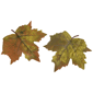 Northlight 11pc. Fall Harvest Pumpkin Decoration Set - image 4