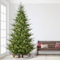 Puleo International 10ft. Pre-Lit Hillside Spruce Tree - image 2