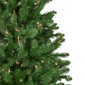 Northlight 12ft. Pencil White River Fir Christmas Tree - image 3