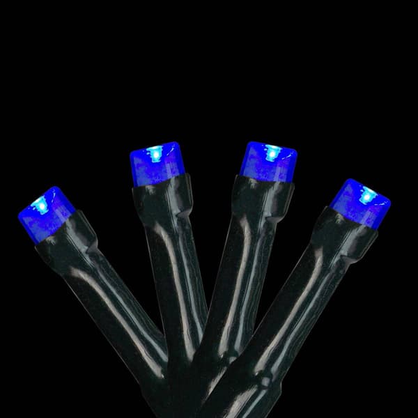 Northlight Seasonal 20ct. Black Wire Blue LED Christmas Lights