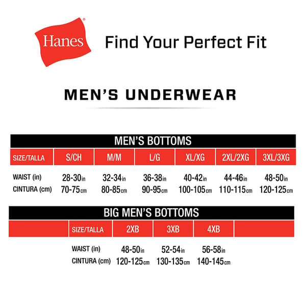 Mens Big & Tall Hanes 5pk. Briefs - White