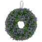 Northlight Seasonal Artificial Reindeer Moss & Twig Spring Wreath - image 1