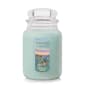 Yankee Candle&#40;R&#41; 22oz. Aloe & Agave Jar Candle - image 1