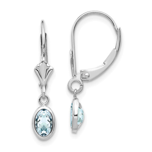 Gemstone Classics&#40;tm&#41; Aquamarine Leverback Earrings - image 