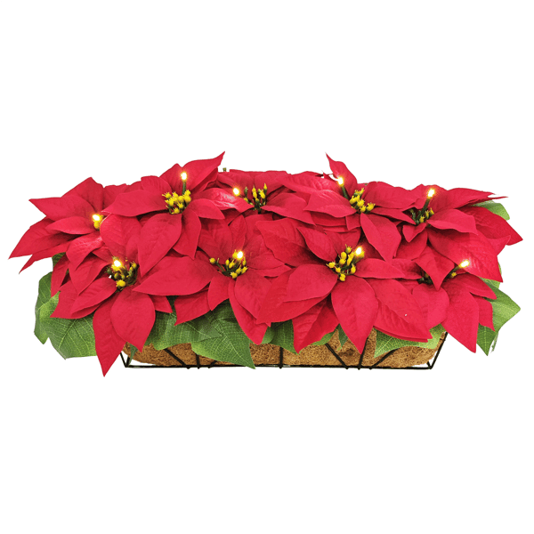 Puleo International 24in. Pre-Lit Red Poinsettia Window Box Décor - image 