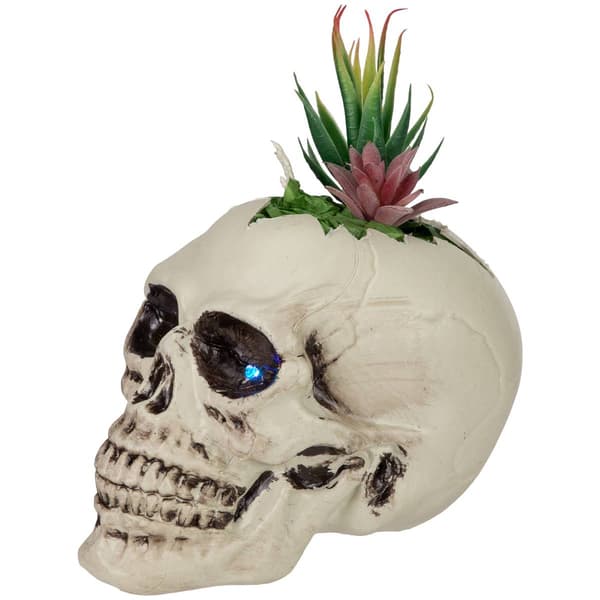 Northlight Seasonal 8.75in. LED Succulent Skull Planter