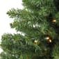 Northlight 18in. LED Canadian Pine Artificial Christmas Tree - image 2