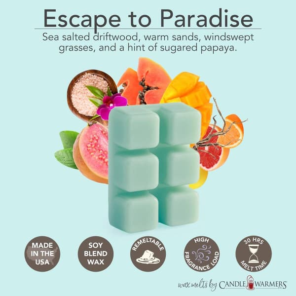 Candle Warmers Etc. Escape to Paradise &amp; Ocean Tide Wax Melts