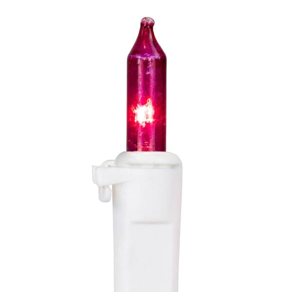 Northlight Seasonal 5ft. 20ct. Multi-Color Mini Christmas Lights