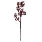 Northlight Seasonal 35in. Beaded Artificial Christmas Spray - image 1