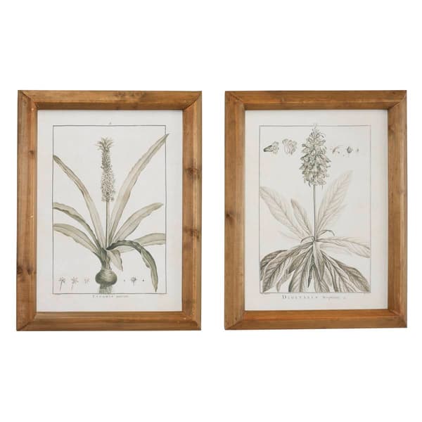 9th & Pike&#40;R&#41; Large Vintage Botanical Prints - Set of 2
