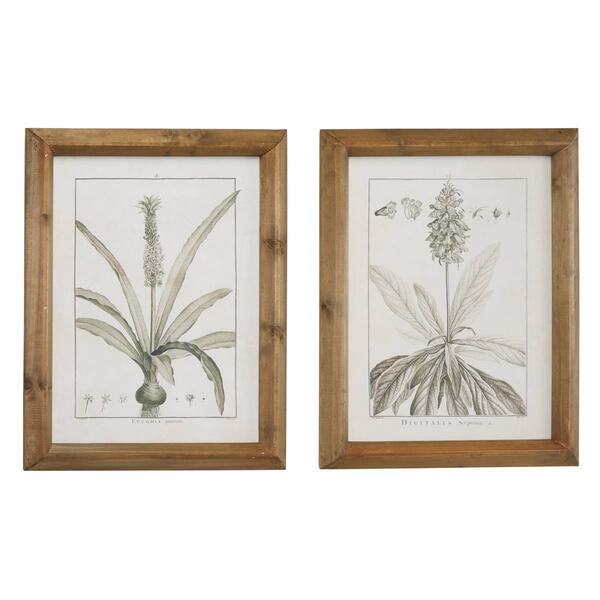 9th & Pike&#40;R&#41; Large Vintage Botanical Prints - Set of 2 - image 