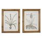 9th & Pike&#40;R&#41; Large Vintage Botanical Prints - Set of 2 - image 1