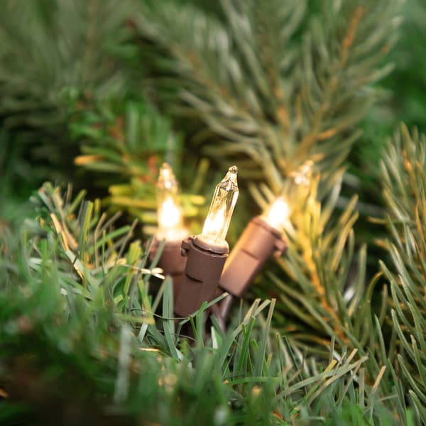Northlight Seasonal 300pc. Clear Mini Christmas Lights
