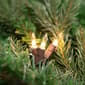 Northlight Seasonal 300pc. Clear Mini Christmas Lights - image 6