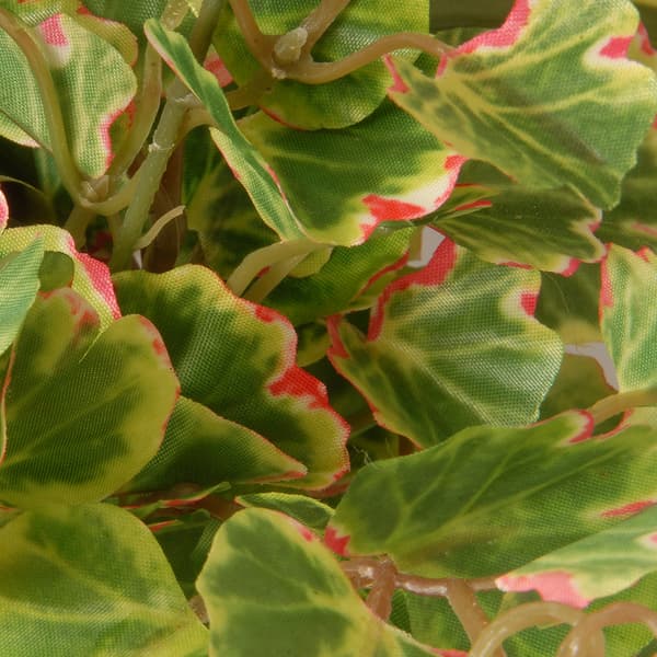 National Tree 10in. Potted Plant