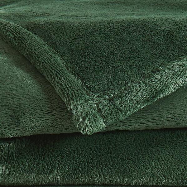 Royal Velvet Lavish Plush Solid Blanket
