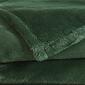 Royal Velvet Lavish Plush Solid Blanket - image 4