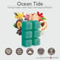 Candle Warmers Etc. Escape to Paradise &amp; Ocean Tide Wax Melts - image 3
