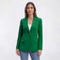 Petite Kasper Long Sleeve Two Button Notch Collar Blazer - image 1