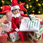 The Elf on the Shelf® Girl Blue Eyes - image 2