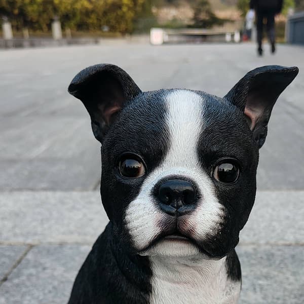 Hi-Line Gift Boston Terrier Garden Statue
