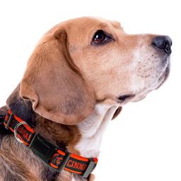 NFL Cincinnati Bengals Dog Collar