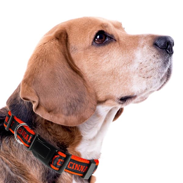 NFL Cincinnati Bengals Dog Collar